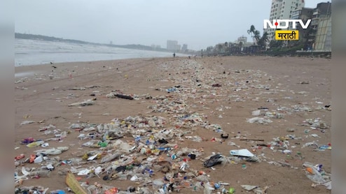 Mumbai News: मुंबईतील समुद्रकिनाऱ्यावर पावसामुळे किती टन जमा झाला कचरा? मनपाने दिली आकडेवारी