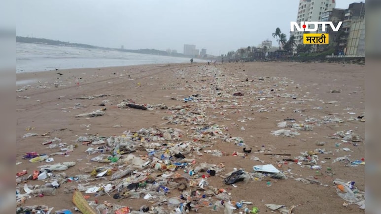 Mumbai News: मुंबईतील समुद्रकिनाऱ्यावर पावसामुळे किती टन जमा झाला कचरा? मनपाने दिली आकडेवारी Mumbai News: मुंबईतील समुद्रकिनाऱ्यावर पावसामुळे किती टन जमा झाला कचरा? मनपाने दिली आकडेवारी