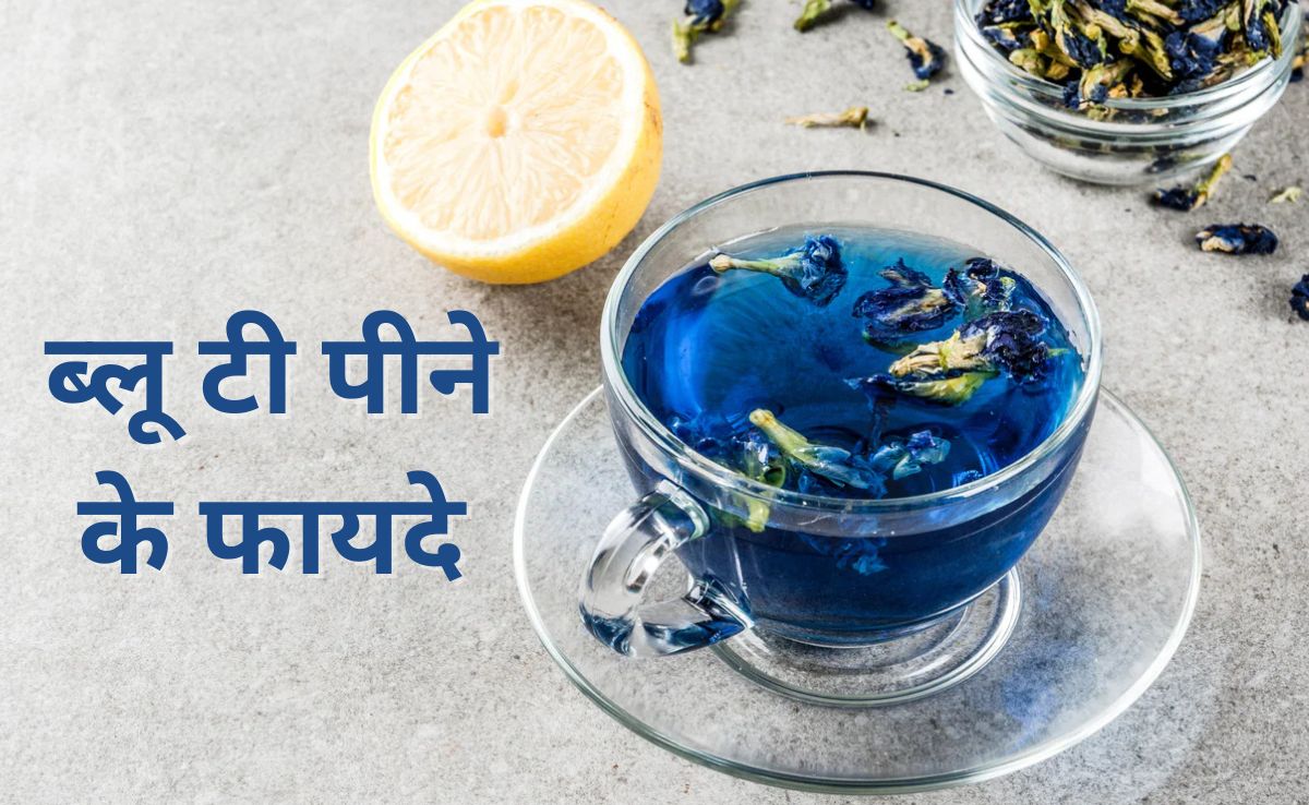 ब्लू टी किसके लिए अच्छी है? जानिए दिन की शुरुआत इस नीली चाय से करने पर शरीर को कौनसे फायदे मिलते हैं
