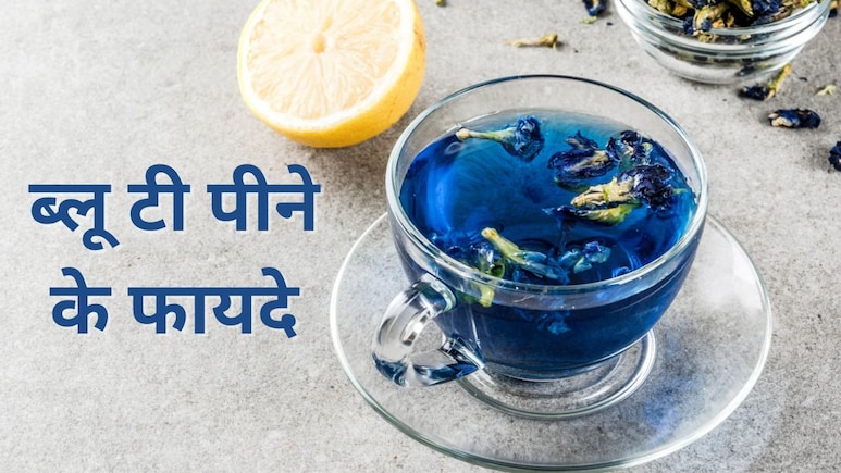 ब्लू टी किसके लिए अच्छी है? जानिए दिन की शुरुआत इस नीली चाय से करने पर शरीर को कौनसे फायदे मिलते हैं
