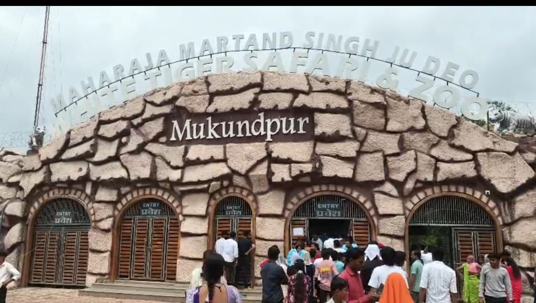 मुकुंदपुर टाइगर रिजर्व को रीवा में शामिल किया जा सकता है मुकुंदपुर टाइगर रिजर्व को रीवा में शामिल किया जा सकता है
