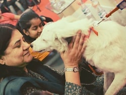 &quot;Who Decides A Stray Dog Is Aggressive?&quot; Maneka Gandhi Has A Solution