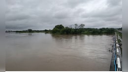 Maharashtra Rain: दहीहंडीला पावसाची सलामी! राज्यभरात मुसळधार, कुठे काय स्थिती? वाचा सर्व अपडेट्स