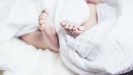 Babies Sold For Rs 4.5 Lakh: Hyderabad IVF Scam Exposes Child Trafficking