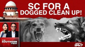 Big Top Court Order On Stray Dog Menace: Can All Stray Dogs Be Relocated?