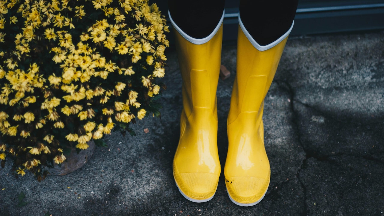 Affordable And Fashionable Boots For Women Under ₹1000