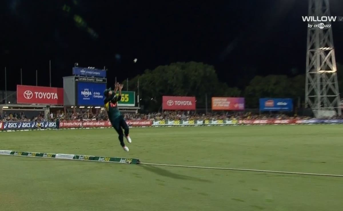 Glenn Maxwell Makes It Look Easy, Takes Stunner Near Boundary To Dismiss South Africa Star. Watch