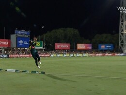 Glenn Maxwell Makes It Look Easy, Takes Stunner Near Boundary To Dismiss South Africa Star. Watch Glenn Maxwell Makes It Look Easy, Takes Stunner Near Boundary To Dismiss South Africa Star. Watch