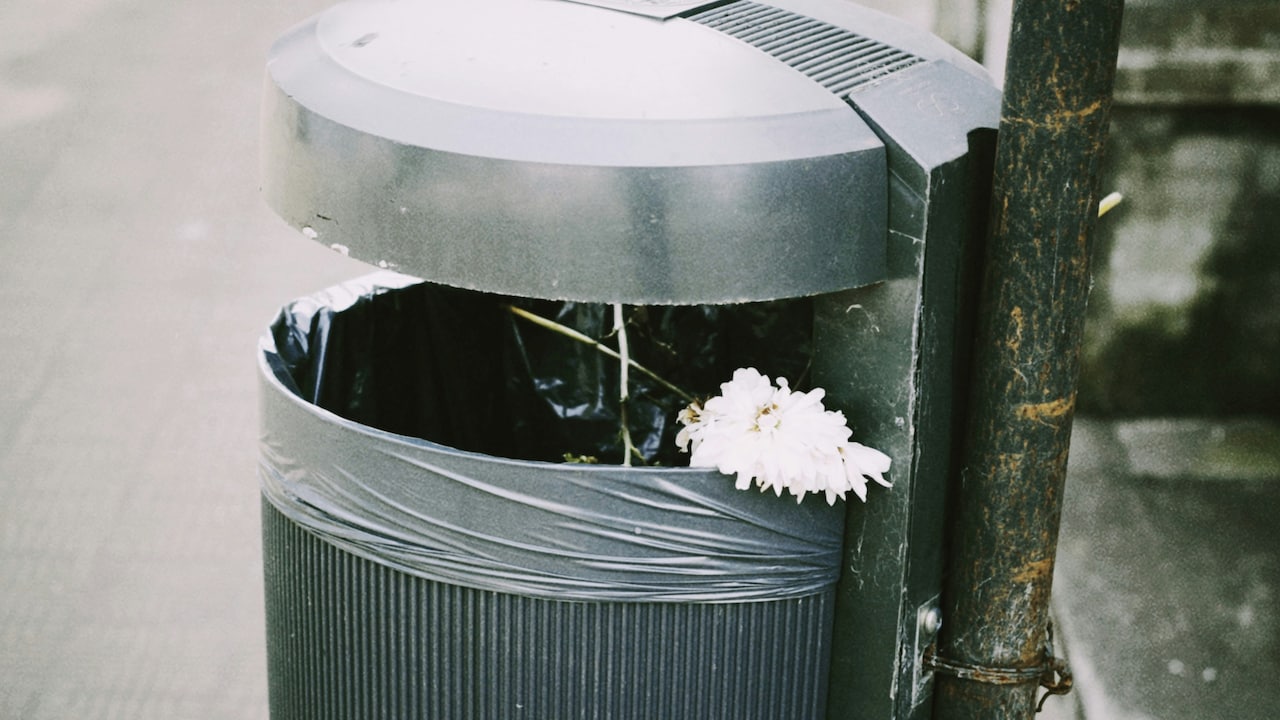 10 Ways Smart Dust Bins Make Cleaning Easy In Compact Apartments