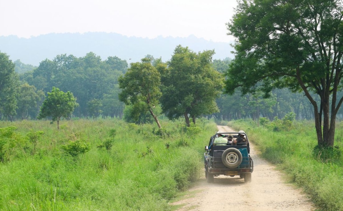 Latest and Breaking News on NDTV Latest and Breaking News on NDTV