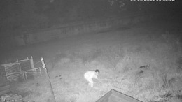 On Camera, Man Steals Brass Elephant From Ex Chhattisgarh Minister's Home