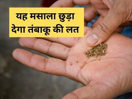 सिगरेट या गुटका छुड़वा देगा रसोई का यह एक मसाला, एक्सपर्ट ने कहा तंबाकू लेने की इच्छा ही नहीं होगी