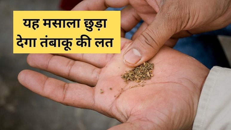 सिगरेट या गुटका छुड़वा देगा रसोई का यह एक मसाला, एक्सपर्ट ने कहा तंबाकू लेने की इच्छा ही नहीं होगी