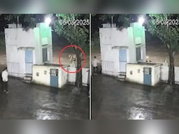 शेर और इंसान का जब हुआ आमना-सामना...न पकड़ा, न झपट्टा मारा…बस एक साथ लगा दी दौड़ शेर और इंसान का जब हुआ आमना-सामना...न पकड़ा, न झपट्टा मारा…बस एक साथ लगा दी दौड़