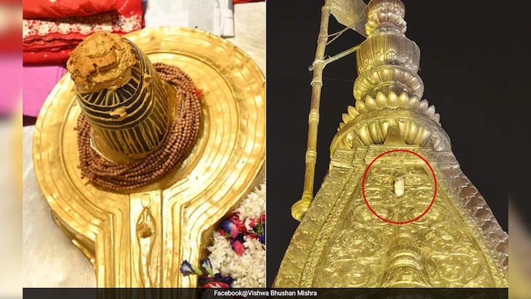 बाबा विश्वनाथ मंदिर में सफेद उल्लू का दिखना शुभ या अशुभ, जानें क्या कहते हैं काशी के पंडित?