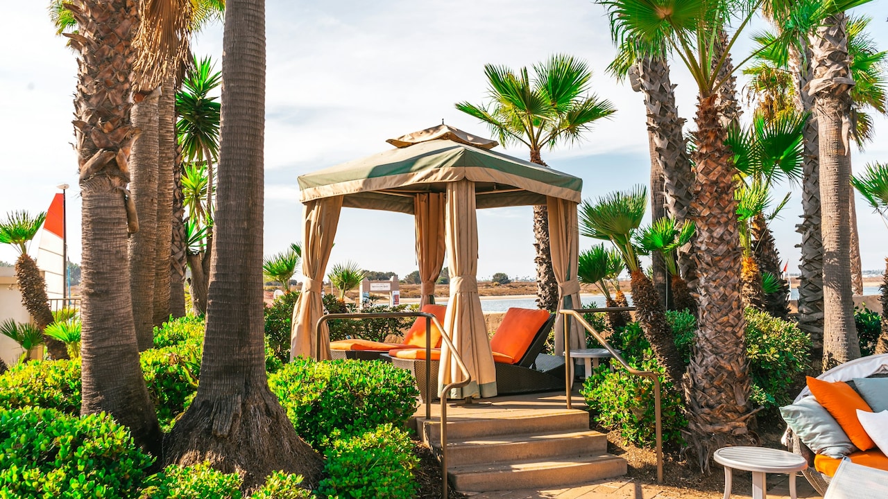 Heres how you can increase privacy in your garden, lawn, or patio