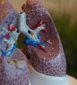 1 август се наблюдават ежегодно като Световния ден на рака