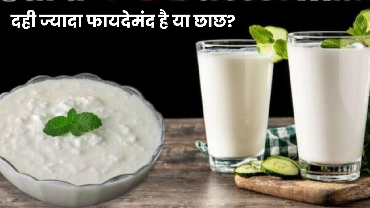दही Vs छाछ, जानें सेहत के लिए दोनों में से कौन है बेस्ट
