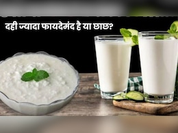 दही Vs छाछ, जानें सेहत के लिए दोनों में से कौन है बेस्ट दही Vs छाछ, जानें सेहत के लिए दोनों में से कौन है बेस्ट