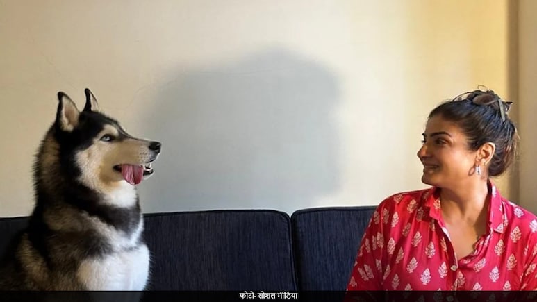 Delhi-NCR के आवारा कुत्तों को लेकर आए सुप्रीम कोर्ट के फैसले पर भड़कीं रवीना टंडन, कही ये बड़ी बात Delhi-NCR के आवारा कुत्तों को लेकर आए सुप्रीम कोर्ट के फैसले पर भड़कीं रवीना टंडन, कही ये बड़ी बात