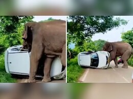 घायल हाथी का गुस्सा, सड़क किनारे खड़ी कार पर कर दिया हमला, कैमरे में कैद हुआ खौफनाक मंजर घायल हाथी का गुस्सा, सड़क किनारे खड़ी कार पर कर दिया हमला, कैमरे में कैद हुआ खौफनाक मंजर