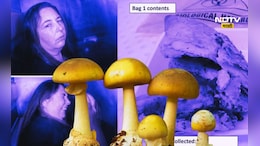 Mushroom murder: मशरूमच्या सहाय्याने मर्डर! सासू सासऱ्यांसह काकाचा केला गेम, धक्कादायक खुलासा