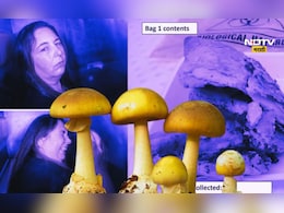 Mushroom murder: मशरूमच्या सहाय्याने मर्डर! सासू सासऱ्यांसह काकाचा केला गेम, धक्कादायक खुलासा