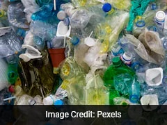 Plastic Pollution Threatens Human Health: Study