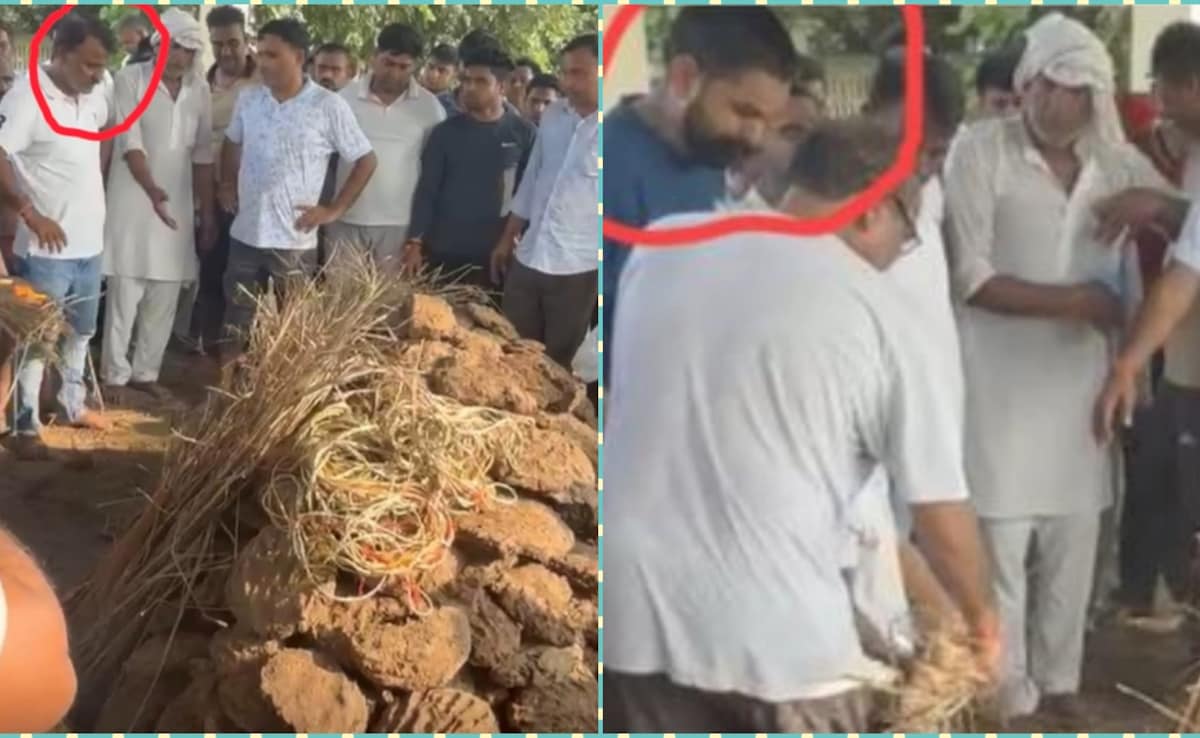 निक्की के भाई और चाचा निक्की के भाई और चाचा