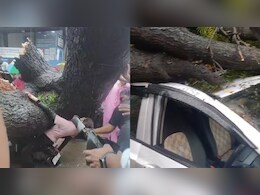 दिल्ली में में दिल दहलाने वाला हादसा, बारिश के बीच चलती बाइक पर गिरा पेड़, खौफनाक VIDEO