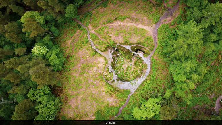 "Leave Me Alone": Missing Woman Found Living Among Lost 'African' Tribe In Scotland "Leave Me Alone": Missing Woman Found Living Among Lost 'African' Tribe In Scotland