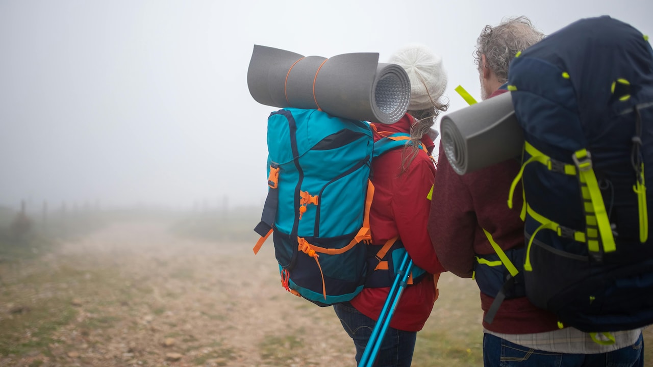 Top Travel-Friendly Backpacks for Comfort: Shoulder Pain-Free Picks
