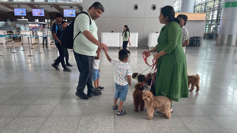 Hyderabad Airport Introduces Therapy Dogs To Help Travellers Deal With Anxiety Hyderabad Airport Introduces Therapy Dogs To Help Travellers Deal With Anxiety