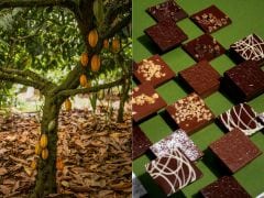 From Farmers To Chocolatiers: The Complete Journey Of Making Delicious Chocolate In India From Farmers To Chocolatiers: The Complete Journey Of Making Delicious Chocolate In India