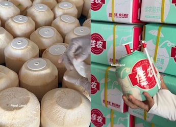 Coconut Water Processing Video Concerns Foodies With Heavy Plastic Usage