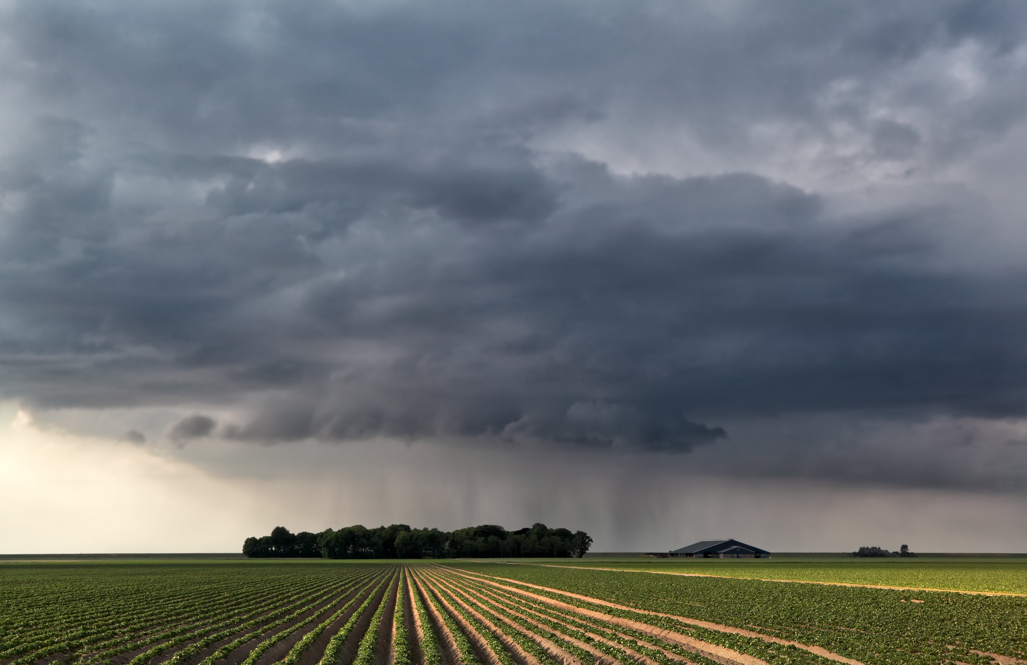 Monsoon Rains Recharge Indian Dams, Boosting Winter Crop Outlook