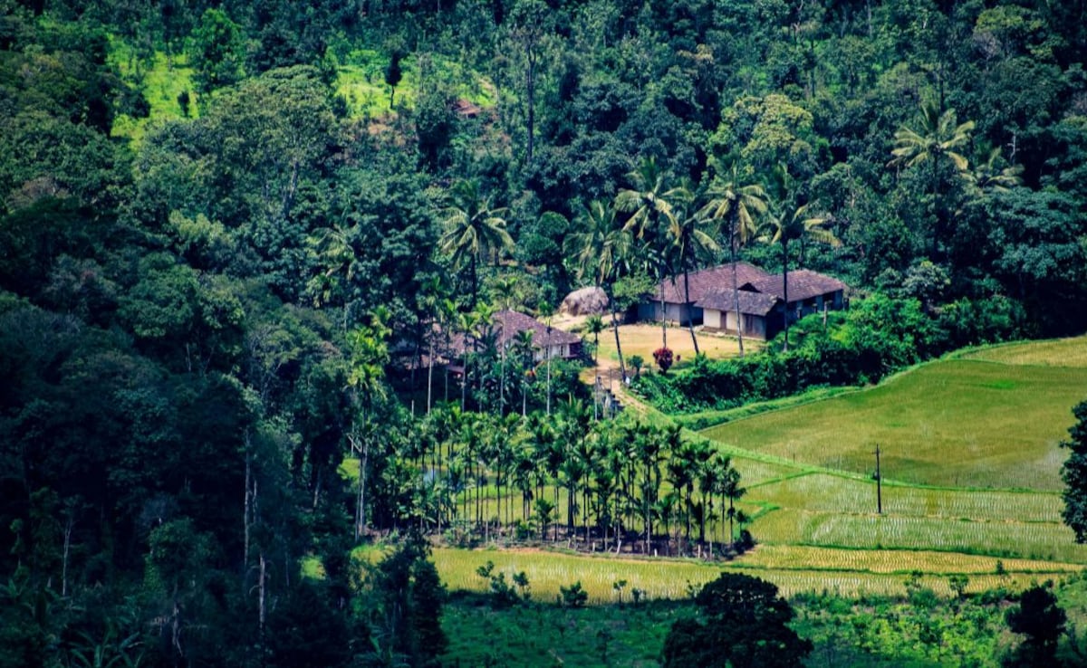 Add image caption here Add image caption here