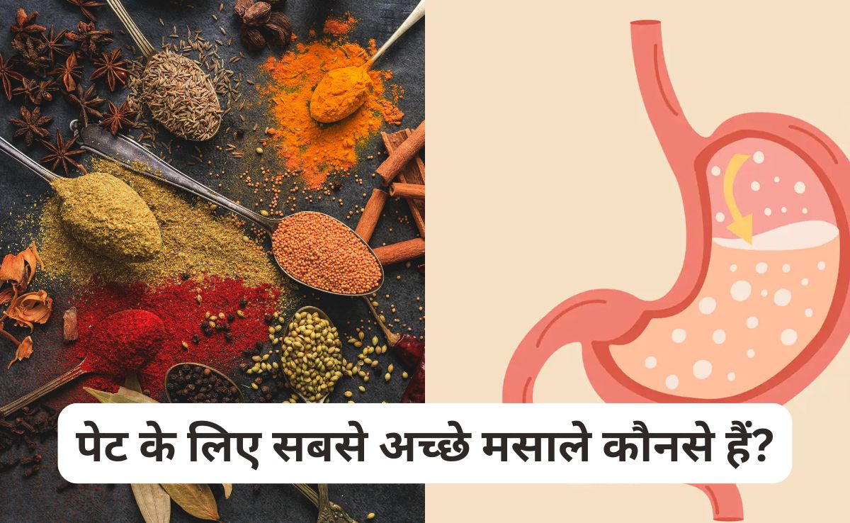 आपके पेट के लिए कौन से मसाले अच्छे हैं? डॉक्टर से जानिए किन 10 Spices से गट हेल्थ अच्छी रहती है