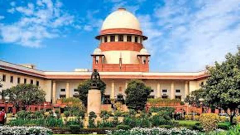 "Targeting One Party...": Supreme Court Junks Tamil MP's Plea, Fines Rs 10 Lakh