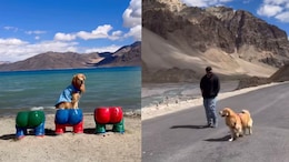 Couple Take Their Pet Dog On Ladakh And Kashmir Trip, Internet Cannot Stop Gushing