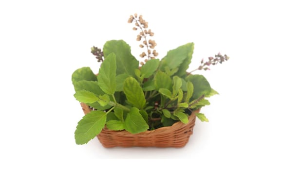 Add image caption here Add image caption here