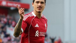 Darwin Nunez Leaves Premier League Champions Liverpool For Saudi Arabia's Al-Hilal
