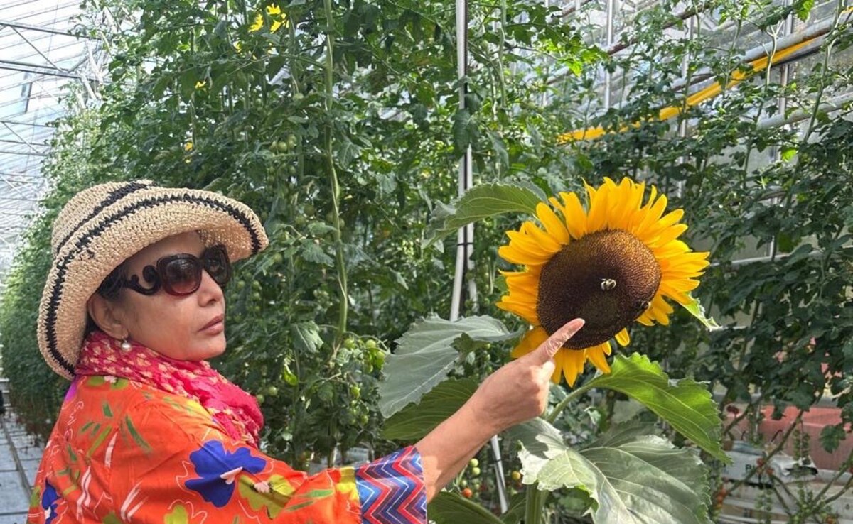 Shabana Azmi's Iceland Trip: Unveiling Travel Experiences