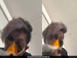Video: Paris-Bound Flight Makes Emergency Landing After Bird Hits Plane Nose Video: Paris-Bound Flight Makes Emergency Landing After Bird Hits Plane Nose