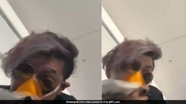 Video: Paris-Bound Flight Makes Emergency Landing After Bird Hits Plane Nose Video: Paris-Bound Flight Makes Emergency Landing After Bird Hits Plane Nose