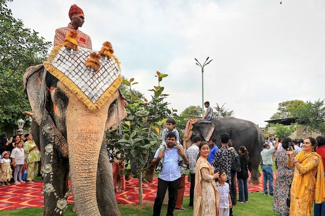 पर्यटक दंग रह गए पर्यटक दंग रह गए