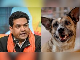 आवारा कुत्तों को कैसे पकड़ेगी दिल्ली सरकार, मंत्री कपिल मिश्रा ने बताया एक्शन प्लान आवारा कुत्तों को कैसे पकड़ेगी दिल्ली सरकार, मंत्री कपिल मिश्रा ने बताया एक्शन प्लान
