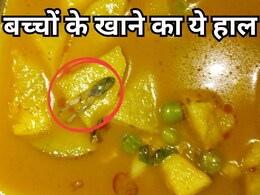 शिवपुरी के सरकारी हॉस्टल में खाने बैठे थे छात्र, तभी थाली से निकला मेंढक का बच्चा... छात्रों ने लगाया आरोप