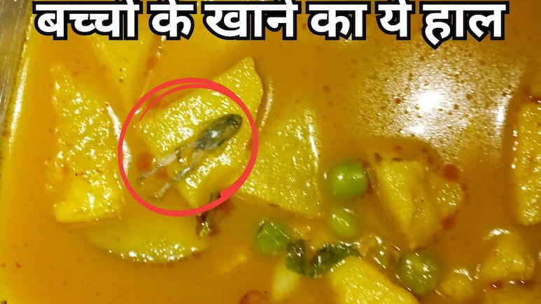शिवपुरी के सरकारी हॉस्टल में खाने बैठे थे छात्र, तभी थाली से निकला मेंढक का बच्चा... छात्रों ने लगाया आरोप