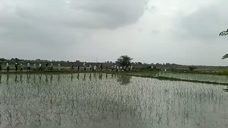 श्मशान में दबंगो ने बोई धान की फसल, खुले में मृतकों का दाह संस्कार करने मजबूर हो रहे ग्रामीण